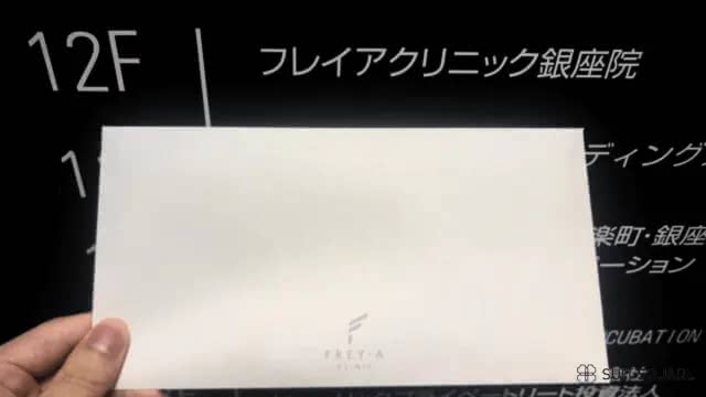 フレイアを潜入調査している様子