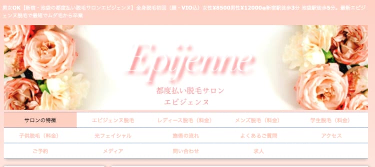 エピジェンヌ公式