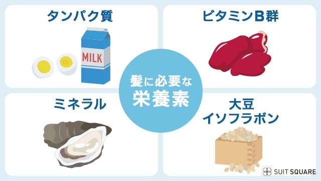 髪に必要な栄養素